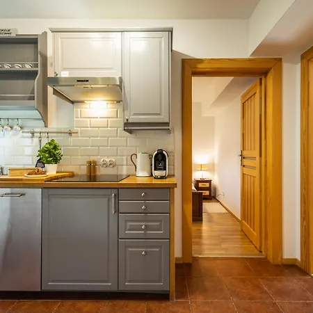 Poludniowy Z Widokiem- Sauna, Jacuzzi, Kominek 公寓 考斯赛力克