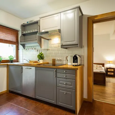 Apartament Poludniowy Z Widokiem Na Tatry- Sauna, Jacuzzi, Kominek